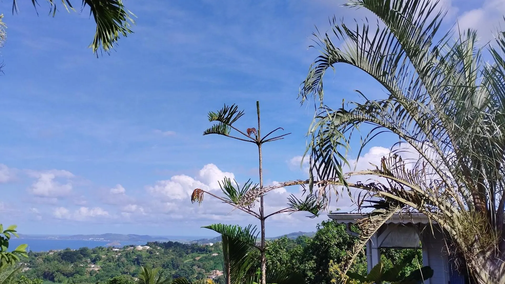 Le Pain De Sucre Villa Marigot